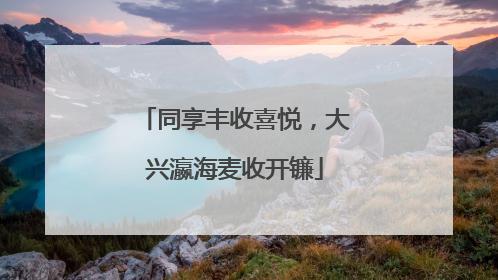 同享丰收喜悦，大兴瀛海麦收开镰