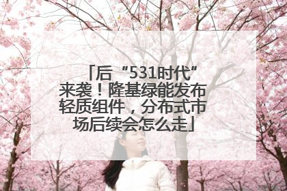 后“531时代”来袭！隆基绿能发布轻质组件，分布式市场后续会怎么走