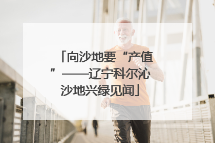 向沙地要“产值”——辽宁科尔沁沙地兴绿见闻