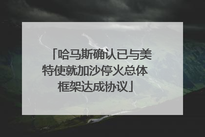 哈马斯确认已与美特使就加沙停火总体框架达成协议