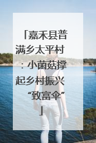 嘉禾县普满乡太平村：小菌菇撑起乡村振兴“致富伞”