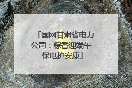 国网甘肃省电力公司：粽香迎端午 保电护安康