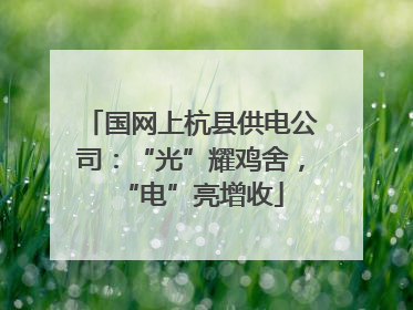 国网上杭县供电公司：“光”耀鸡舍，“电”亮增收