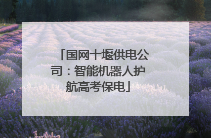 国网十堰供电公司：智能机器人护航高考保电