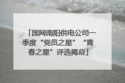 国网南阳供电公司一季度“党员之星”“青春之星”评选揭幕