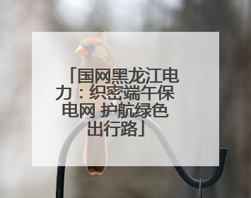 国网黑龙江电力：织密端午保电网 护航绿色出行路