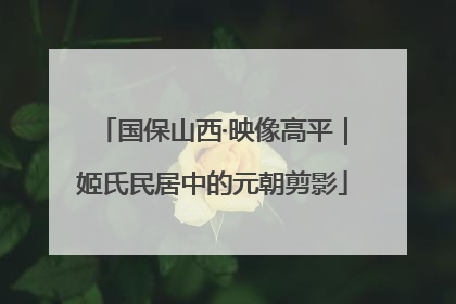 国保山西·映像高平｜姬氏民居中的元朝剪影