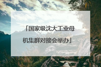 国家级沈大工业母机集群对接会举办