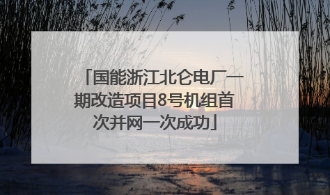 国能浙江北仑电厂一期改造项目8号机组首次并网一次成功