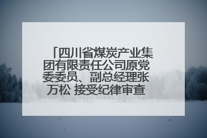 四川省煤炭产业集团有限责任公司原党委委员、副总经理张万松 接受纪律审查和监察调查