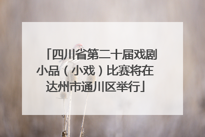 四川省第二十届戏剧小品（小戏）比赛将在达州市通川区举行