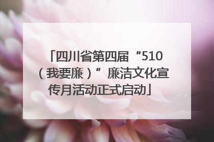 四川省第四届“510（我要廉）”廉洁文化宣传月活动正式启动