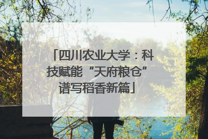 四川农业大学：科技赋能“天府粮仓”谱写稻香新篇