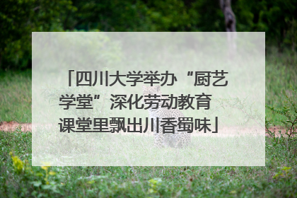 四川大学举办“厨艺学堂”深化劳动教育 课堂里飘出川香蜀味