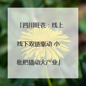四川旺苍：线上线下双链驱动 小枇杷撬动大产业