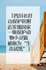 四川老君山保护区附近发现国家一级保护动物小灵猫 被称为“生态试纸”