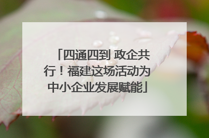 四通四到 政企共行！福建这场活动为中小企业发展赋能