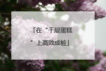 在“千层蛋糕”上高效成桩