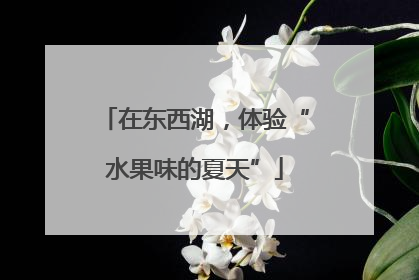 在东西湖，体验“水果味的夏天”