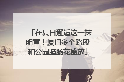 在夏日邂逅这一抹明黄！厦门多个路段和公园腊肠花盛放