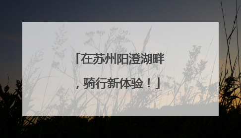 在苏州阳澄湖畔，骑行新体验！