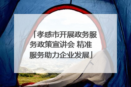 孝感市开展政务服务政策宣讲会 精准服务助力企业发展