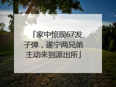 家中惊现67发子弹，遂宁两兄弟主动来到派出所