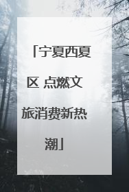 宁夏西夏区 点燃文旅消费新热潮