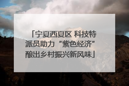 宁夏西夏区 科技特派员助力“紫色经济”酿出乡村振兴新风味