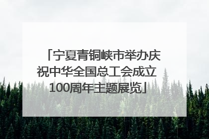 宁夏青铜峡市举办庆祝中华全国总工会成立100周年主题展览