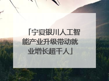 宁夏银川人工智能产业升级带动就业增长超千人