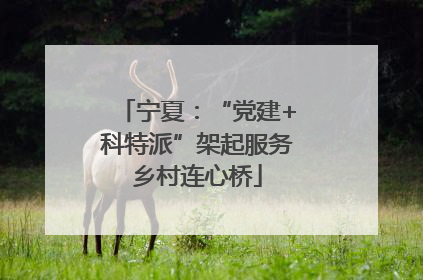 宁夏：“党建+科特派”架起服务乡村连心桥