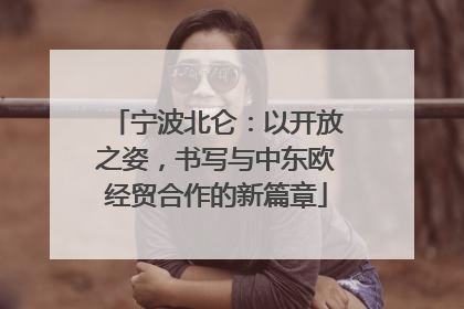 宁波北仑：以开放之姿，书写与中东欧经贸合作的新篇章