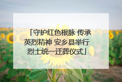 守护红色根脉 传承英烈精神 安乡县举行烈士统一迁葬仪式