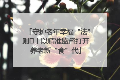守护老年幸福“法”则⑮丨以精准监督打开养老新“食”代