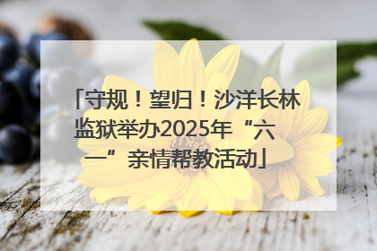 守规！望归！沙洋长林监狱举办2025年“六一”亲情帮教活动