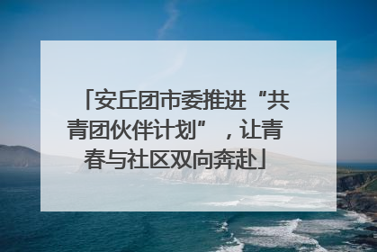 安丘团市委推进“共青团伙伴计划”，让青春与社区双向奔赴
