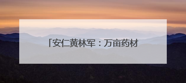 安仁黄林军：万亩药材基地铺就乡村振兴路