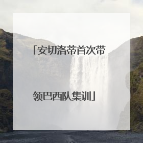 安切洛蒂首次带领巴西队集训