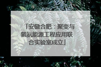 安徽合肥：聚变与氢氨能源工程应用联合实验室成立