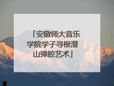 安徽师大音乐学院学子寻根潜山弹腔艺术
