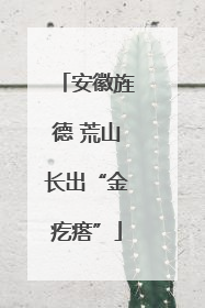 安徽旌德 荒山长出“金疙瘩”
