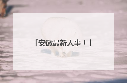 安徽最新人事！