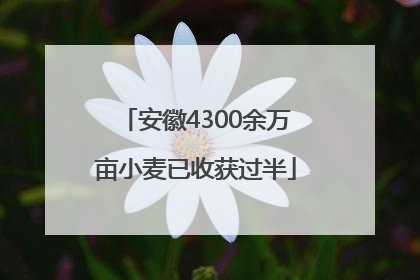 安徽4300余万亩小麦已收获过半
