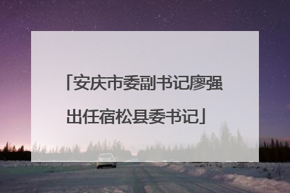 安庆市委副书记廖强出任宿松县委书记