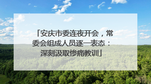 安庆市委连夜开会，常委会组成人员逐一表态：深刻汲取惨痛教训