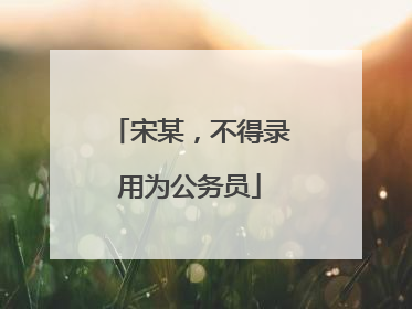 宋某，不得录用为公务员