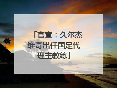 官宣：久尔杰维奇出任国足代理主教练