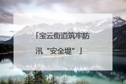 宝云街道筑牢防汛“安全堤”