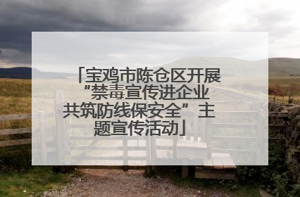 宝鸡市陈仓区开展“禁毒宣传进企业 共筑防线保安全”主题宣传活动